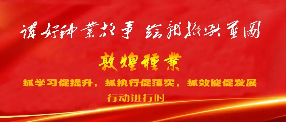 優秀敦煌種業人系列|在路上 -- 敦煌種業百佳食品有限公司優秀共產黨員郭亞囡